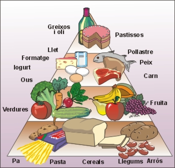 10 Alimentos, que no puedes dejar de consumir.