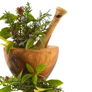 Combatir el Acné: Aceite de té de Árbol