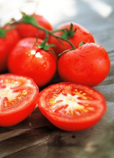 Alimentos para la Vista